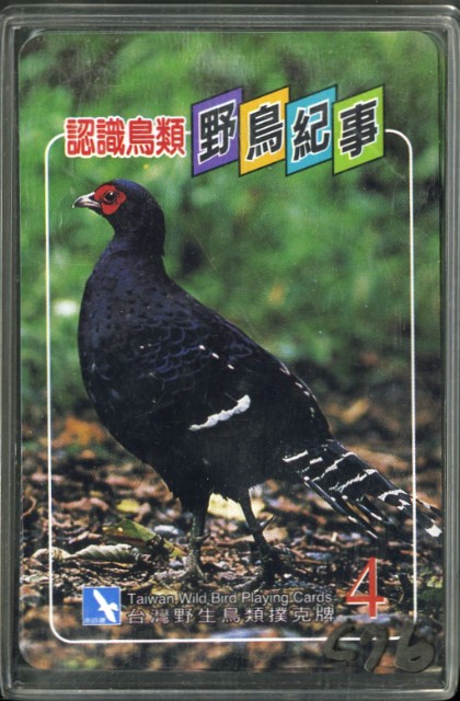 南路鷹工作室野鳥紀事4撲克牌的圖片