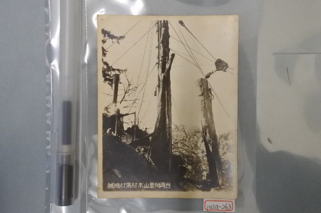 阿里山木材集材機械老照片的圖片