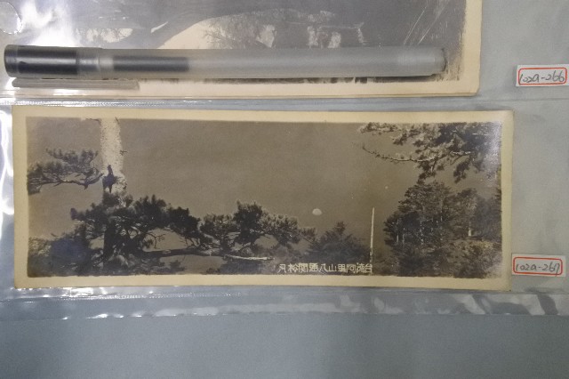 台灣阿里山八通關松月老照片的圖片