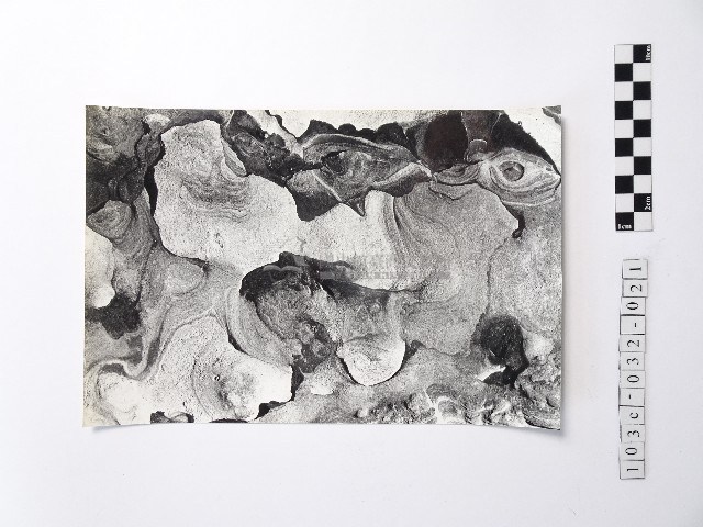 黃則修攝野柳地景藏品圖，第1張
