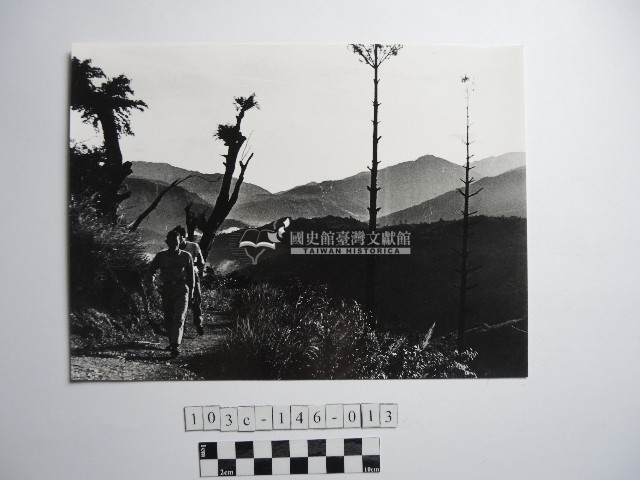 兩人藏品圖，第1張