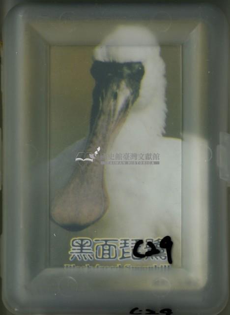 黑面琵鷺撲克牌藏品圖，第1張