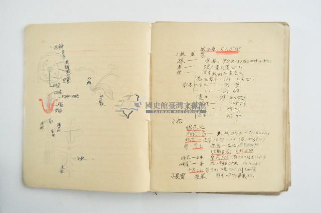 王博文之自然科學筆記藏品圖，第7張