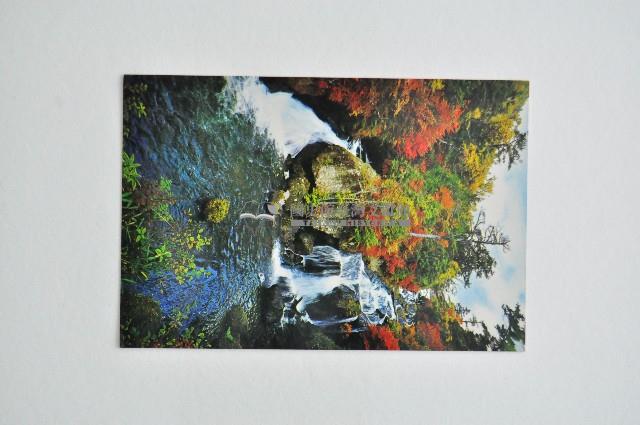 東京一周明信片組藏品圖，第17張