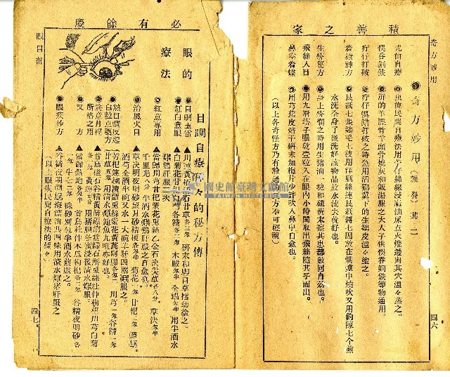 和漢草名對照表藏品圖，第17張