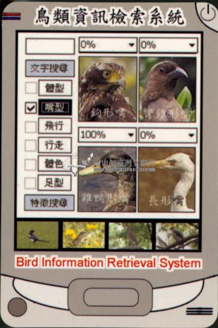 探索精彩鳥世界撲克牌藏品圖，第3張