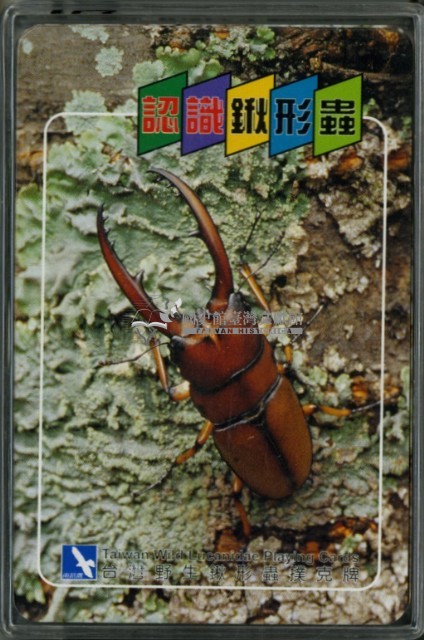 南路鷹工作室認識鍬形蟲撲克牌藏品圖，第3張