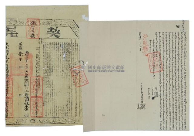 咸豐六年何迎彩等四人立杜賣盡根水田契藏品圖，第3張