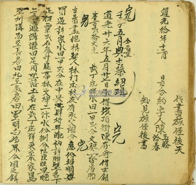 道光十年陳玉勝等仝立合約字藏品圖，第3張