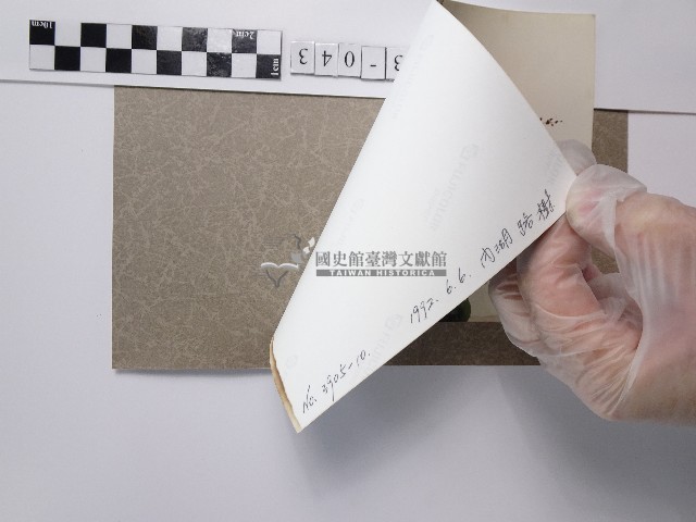 紫薇藏品圖，第3張