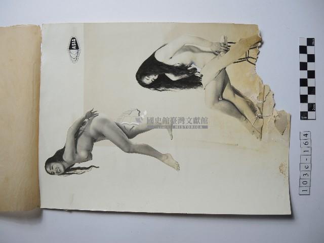 青春的活力藏品圖，第3張