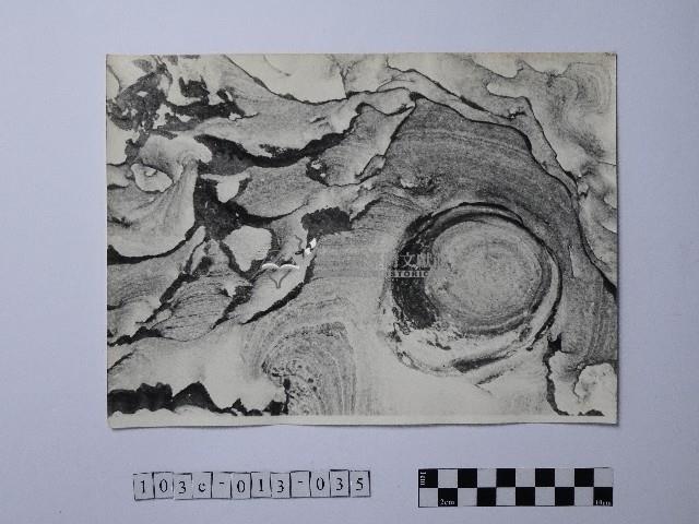 黃則修攝野柳地景藏品圖，第1張