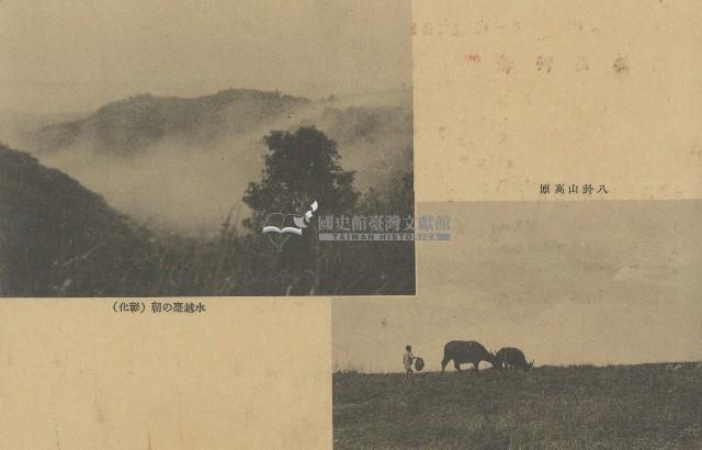 民國三十七年楊乞食彰化市政府換發書狀通知書藏品圖，第1張