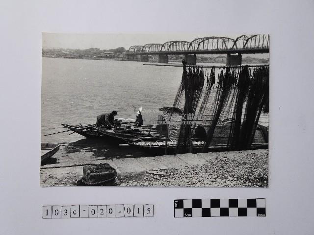 黃則修攝晒網藏品圖，第1張