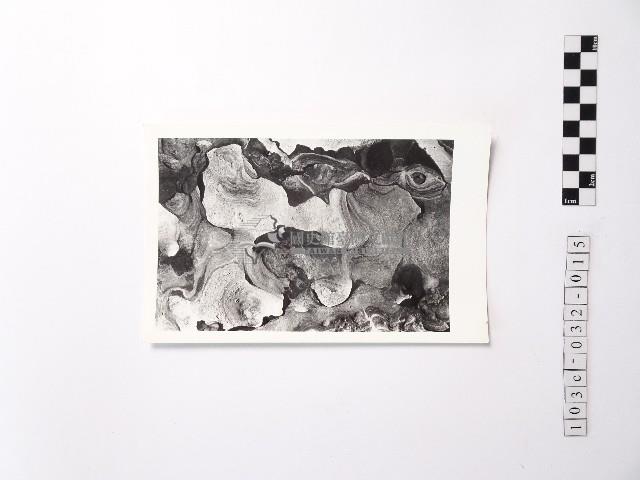 黃則修攝野柳地景藏品圖，第1張