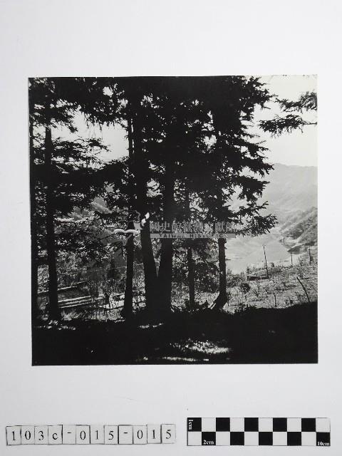 黃則修攝高山風情藏品圖，第1張