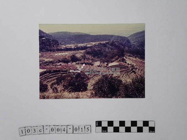 黃則修攝陽明山後山區的梯田藏品圖，第1張