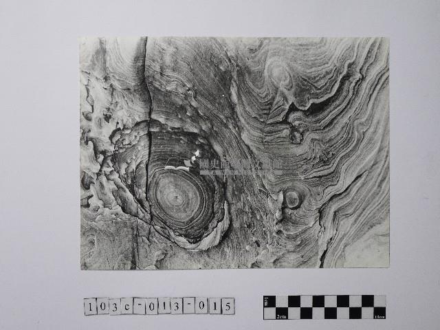 黃則修攝野柳地景風化紋藏品圖，第1張