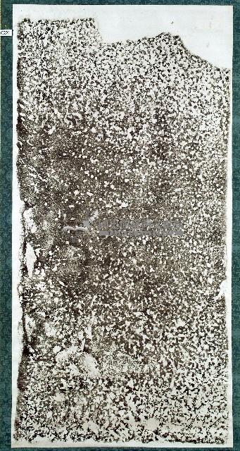 文昌祠祭祀租碑拓本藏品圖，第1張