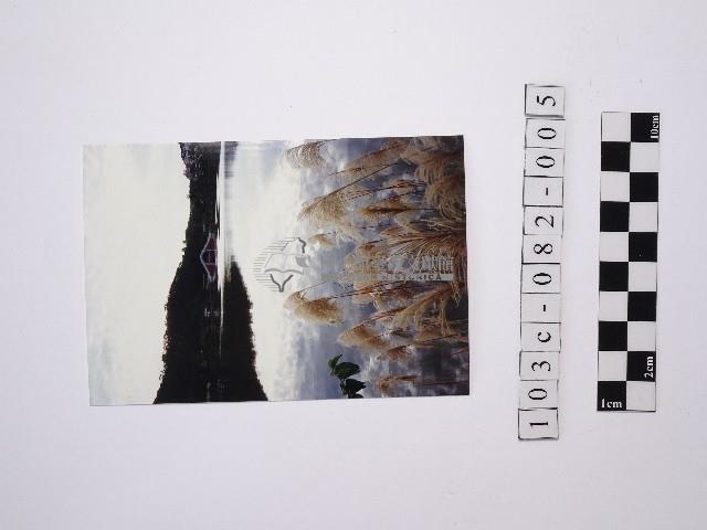 黃則修攝湖畔景致藏品圖，第1張