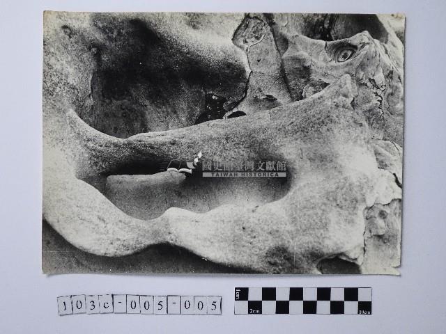 黃則修攝野柳地景藏品圖，第1張