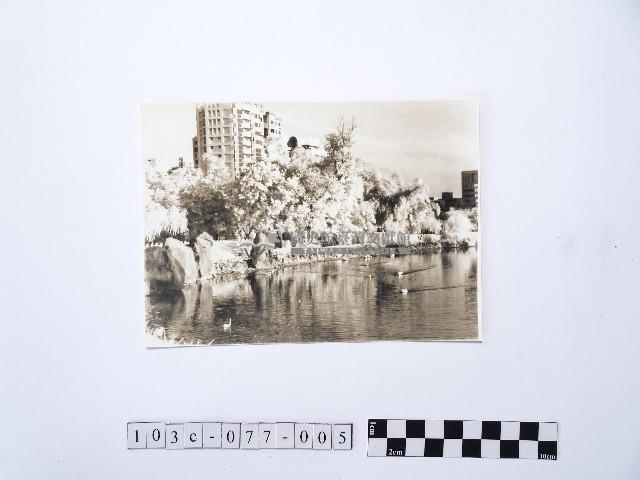 黃則修攝河畔風景3藏品圖，第1張