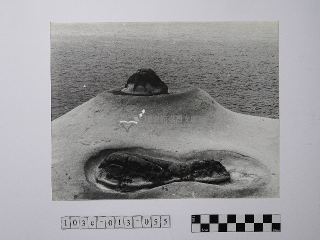 黃則修攝野柳地景藏品圖，第1張