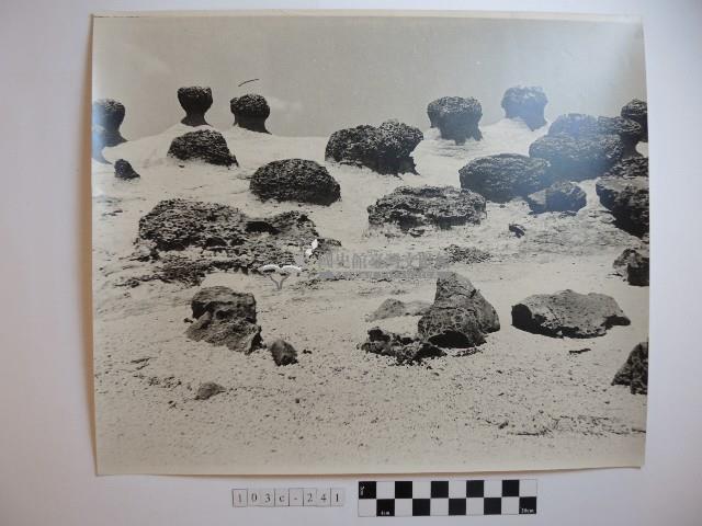 野柳風景藏品圖，第1張