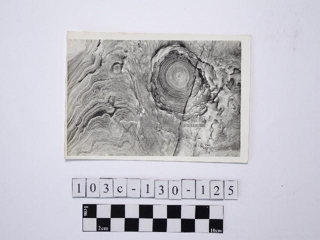 野柳地形藏品圖，第1張