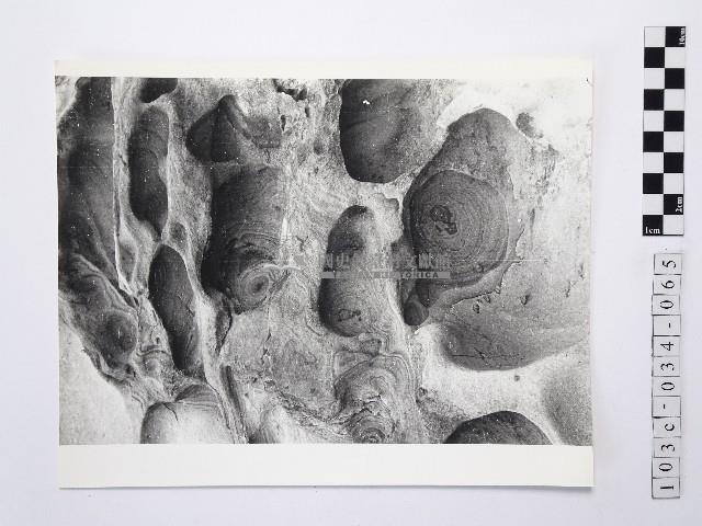 黃則修攝野柳地景藏品圖，第1張