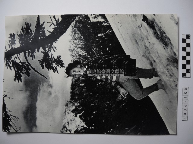 踏雪的女人藏品圖，第1張