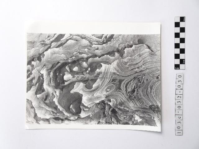 黃則修攝野柳地景藏品圖，第1張