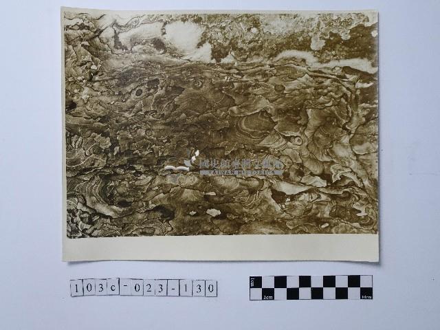 黃則修攝野柳地景藏品圖，第1張