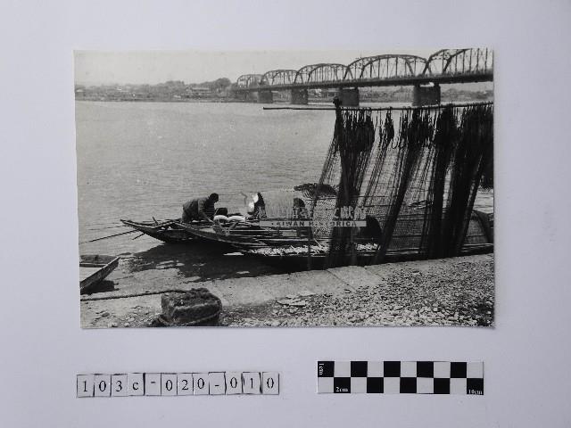 黃則修攝晒網藏品圖，第1張