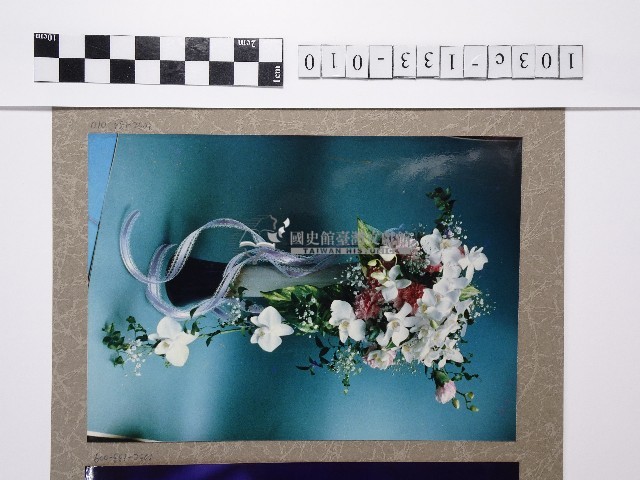 花盆藏品圖，第1張