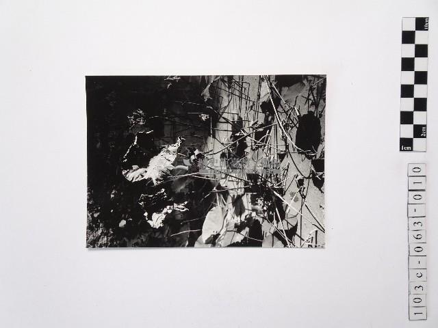 黃則修攝荷花池10藏品圖，第1張