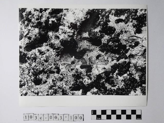 黃則修攝野柳地景藏品圖，第1張