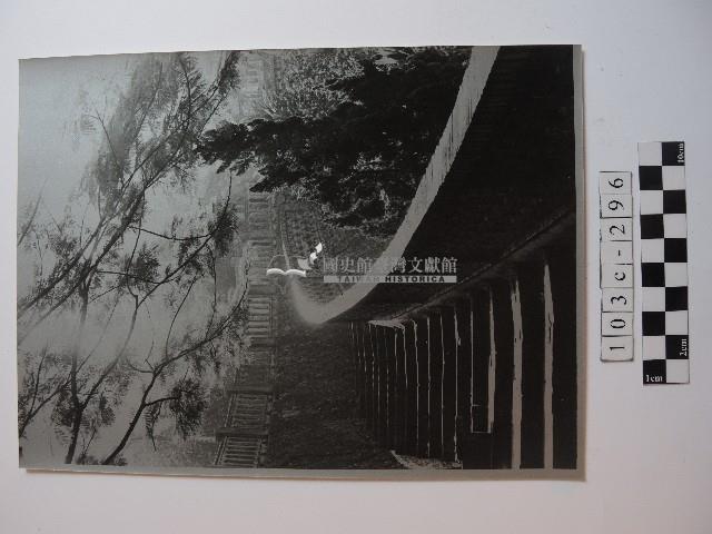 成仙之道藏品圖，第1張