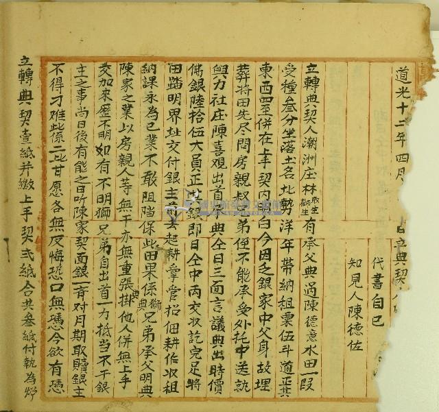 道光二十五年林取生等立轉典契藏品圖，第1張