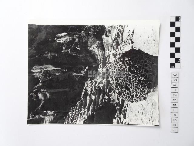 黃則修攝野柳地景蜂窩岩藏品圖，第1張