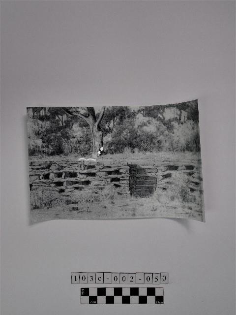 黃則修攝人頭櫃繪圖藏品圖，第1張