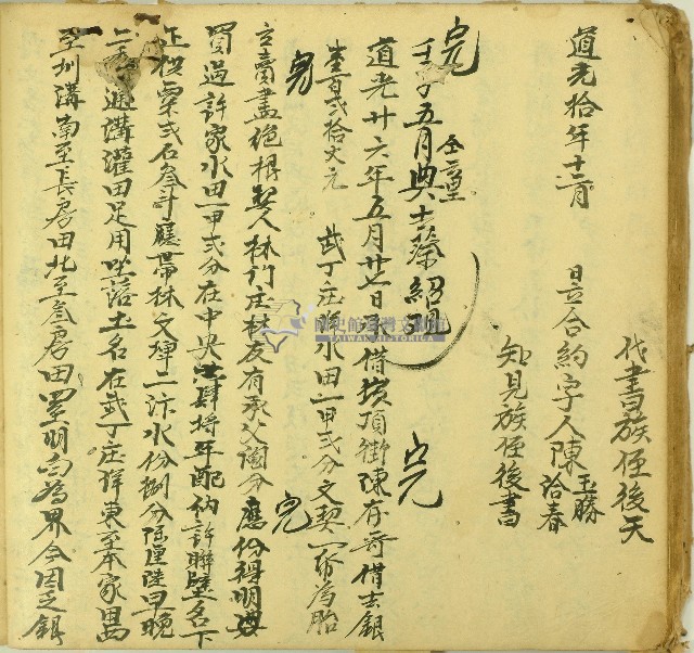 道光二十一年林友立賣盡絕根契藏品圖，第1張