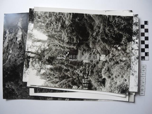 高山風情系列照片藏品圖，第1張