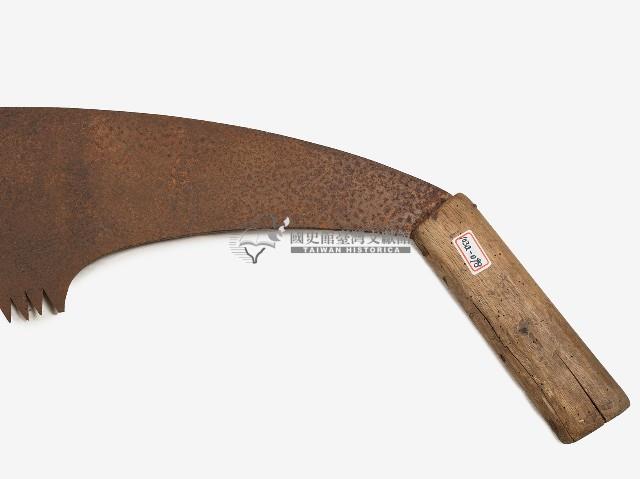 五齒浪鋸藏品圖，第1張