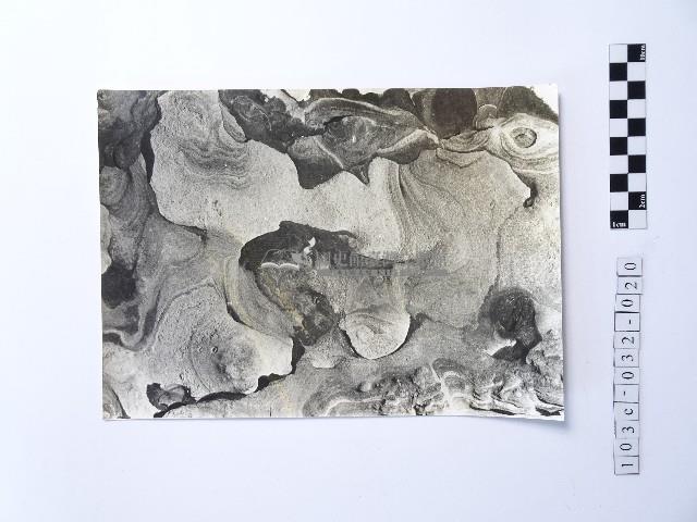 黃則修攝野柳地景藏品圖，第1張