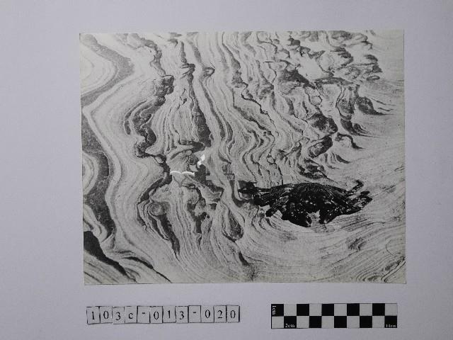 黃則修攝野柳地景風化紋藏品圖，第1張