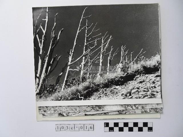 黃則修攝高山系列照片藏品圖，第1張