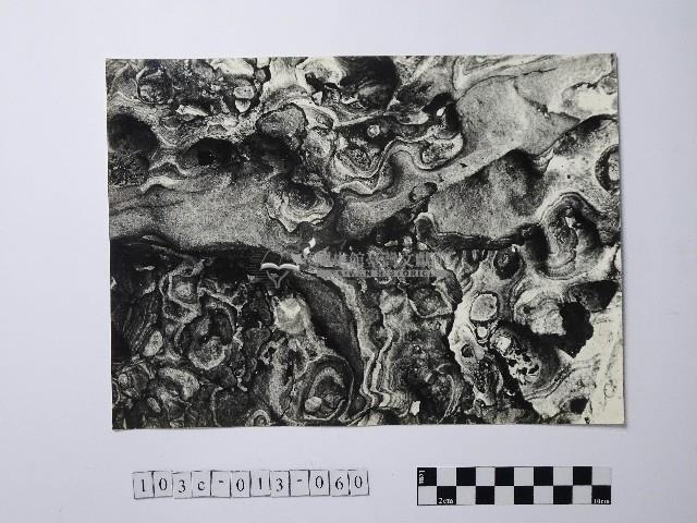 黃則修攝野柳地景藏品圖，第1張