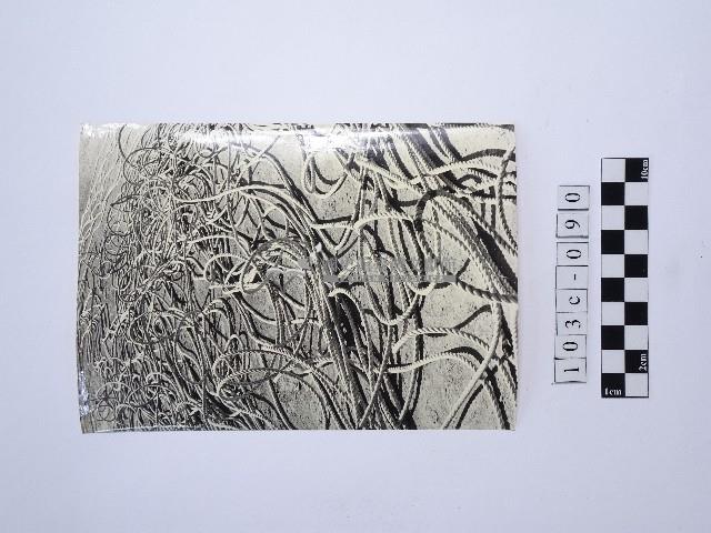 黃則修攝繩索藏品圖，第1張