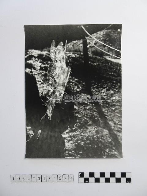 黃則修攝持融冰的手藏品圖，第1張